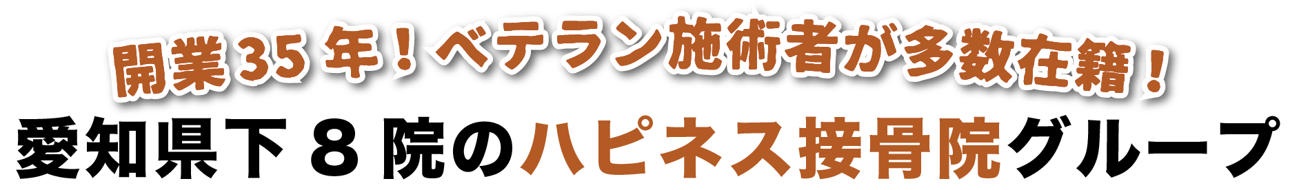 開業35年！ベテラン施術者が多数在籍！愛知県下8院のハピネス接骨院グループ